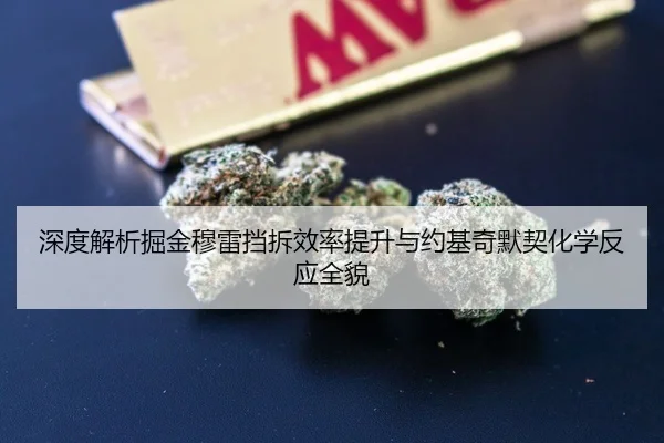 深度解析掘金穆雷挡拆效率提升与约基奇默契化学反应全貌
